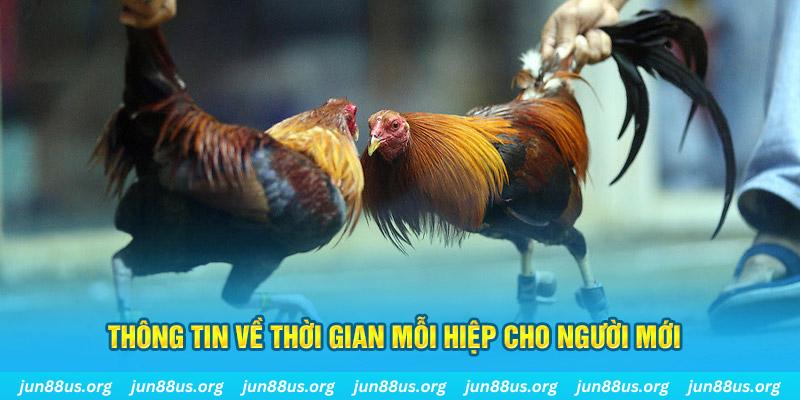 momo no hu Long Hổ 2