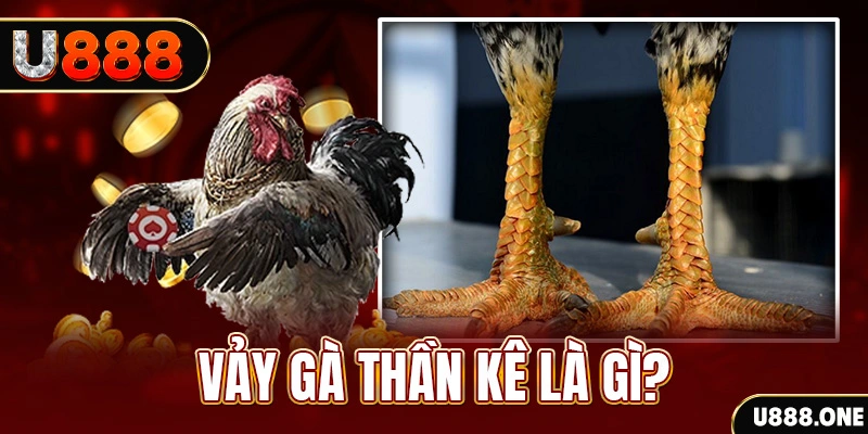 momo no hu xổ số miền bắc thứ tư hàng tuần