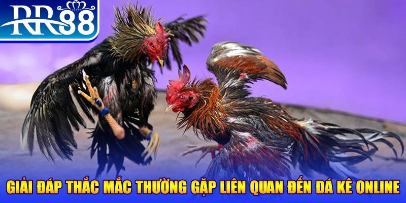 momo no hu đăng nhập phỏm tặng tiền