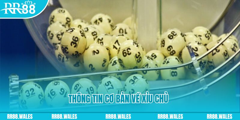 momo no hu baccarat long bảo là gì