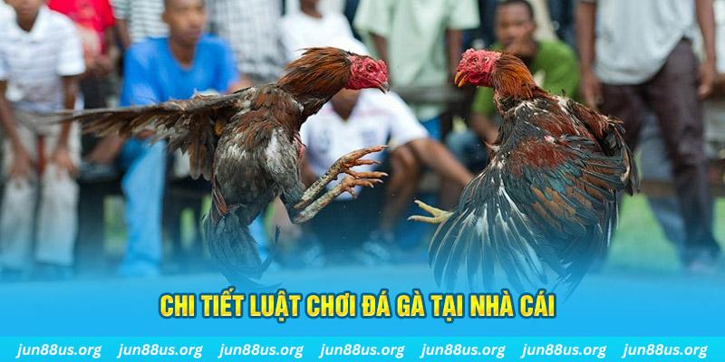 momo no hu đăng nhập sòng bạc uy tín