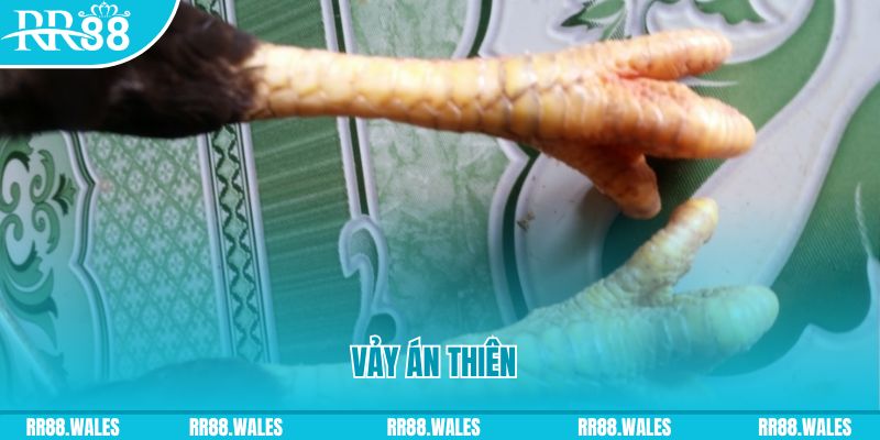 momo no hu who wants to be a millionaire slot