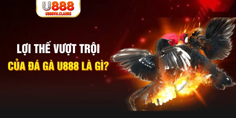 momo no hu 888 slot là gì