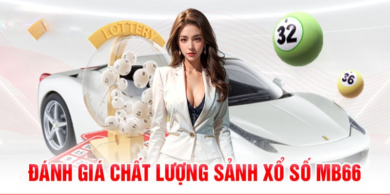 momo no hu 789bet có bao nhiêu sảnh game bài 3d ？